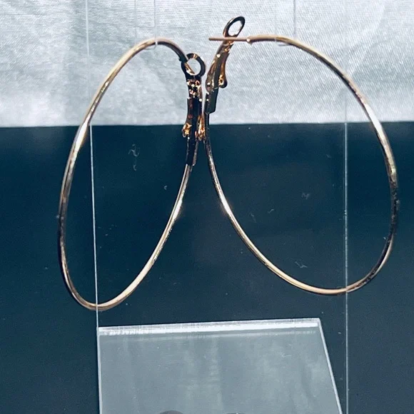 Fashion Jewelry hoop earrings - Picture 1 of 6